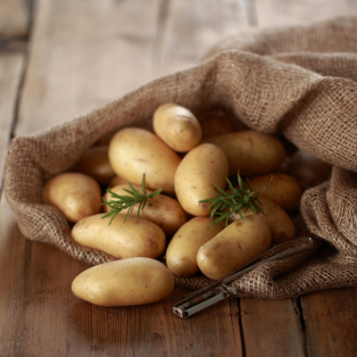 Qualitätskartoffeln aus Bornheim